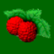 (c) Kinglake-raspberries.com.au